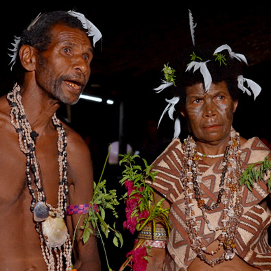 旅するカジの木