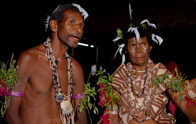 旅するカジの木